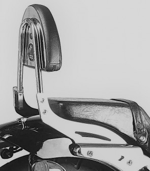 Sissybar without rearrack for Honda VT 750 D2 Black Widow